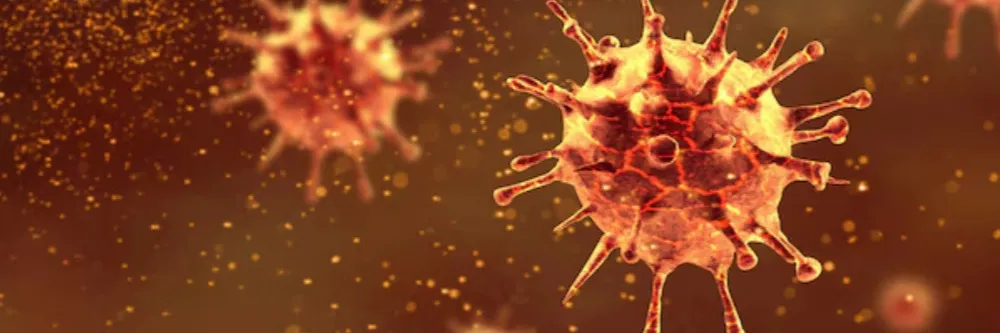Influenza