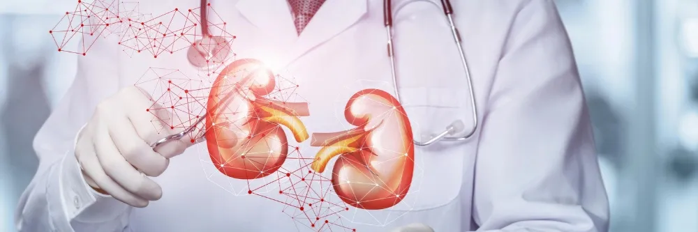 Chronic Kidney Disease