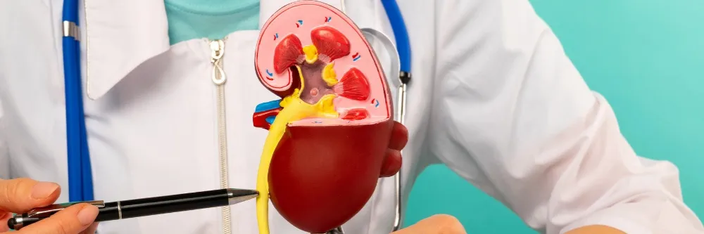 Hypertensive Nephropathy