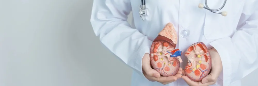 Chronic Kidney Disease