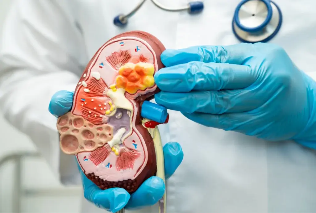 Nephrology-5