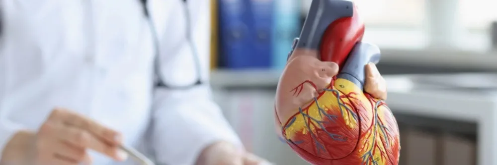 Heart Valve Disease