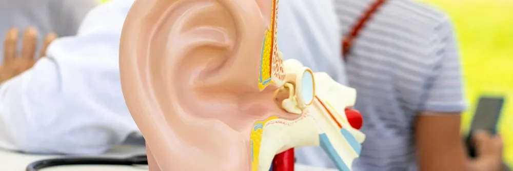 Otitis Media
