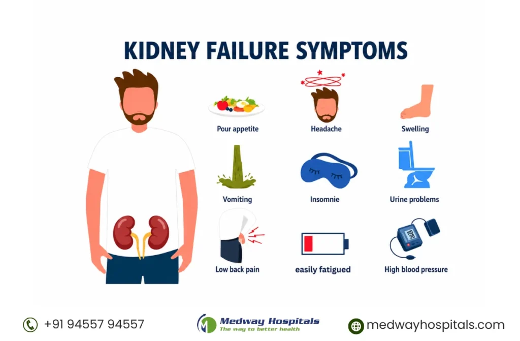 Best Nephrologist in Chennai