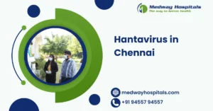 Hantavirus in Chennai