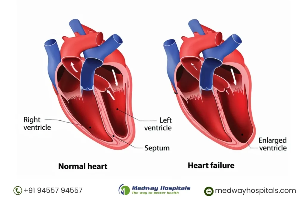 Know Your Heart Health