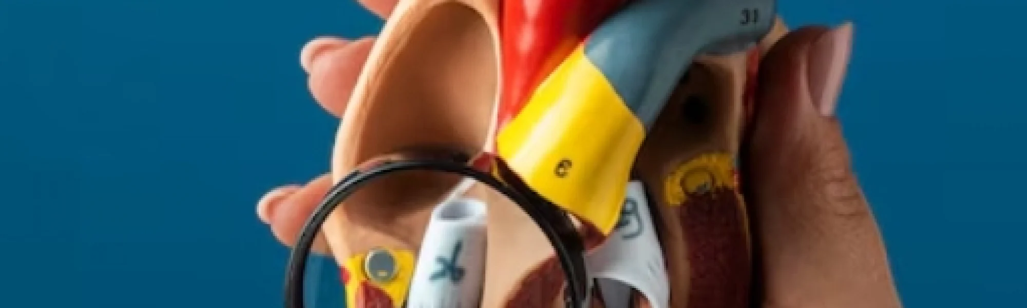 Heart Valve Disease