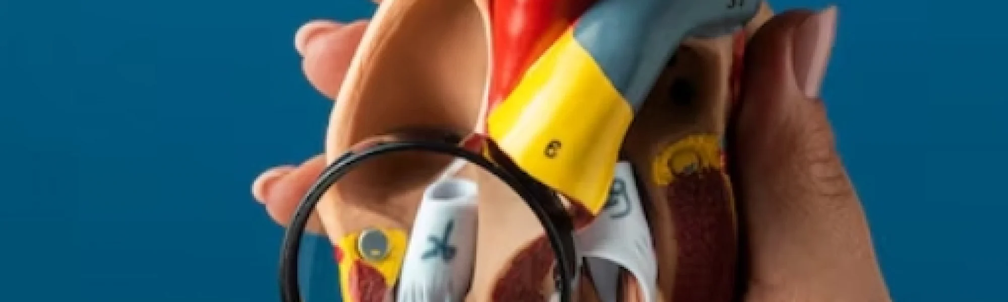 diagnosis of valvular heart disease